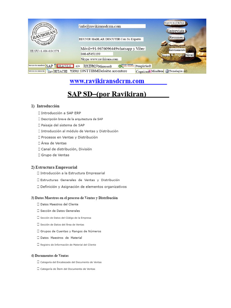 Guía Completa de SAP SD y Ventas | PDF | Business