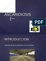 Ascaridiosis - Alex