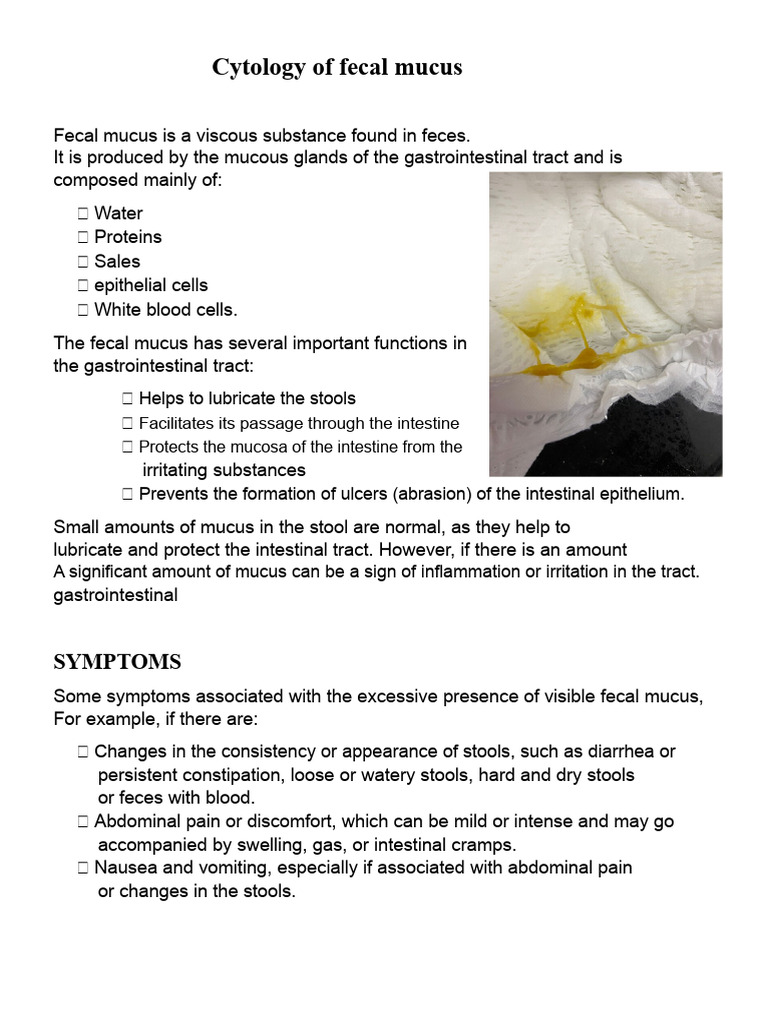 Fecal Mucus Cytology Explained | PDF | Human Feces | Gastrointestinal Tract