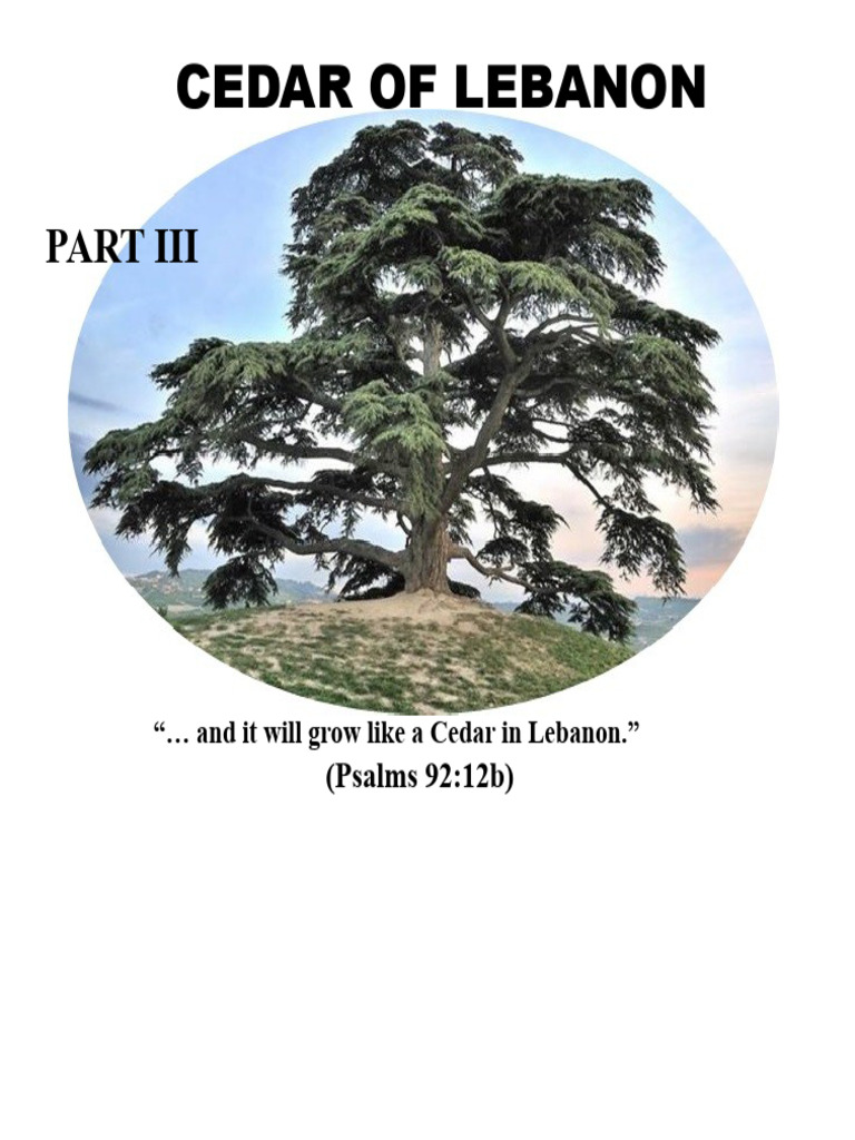 Characteristics and Significance of Cedar | PDF | Book Of Numbers