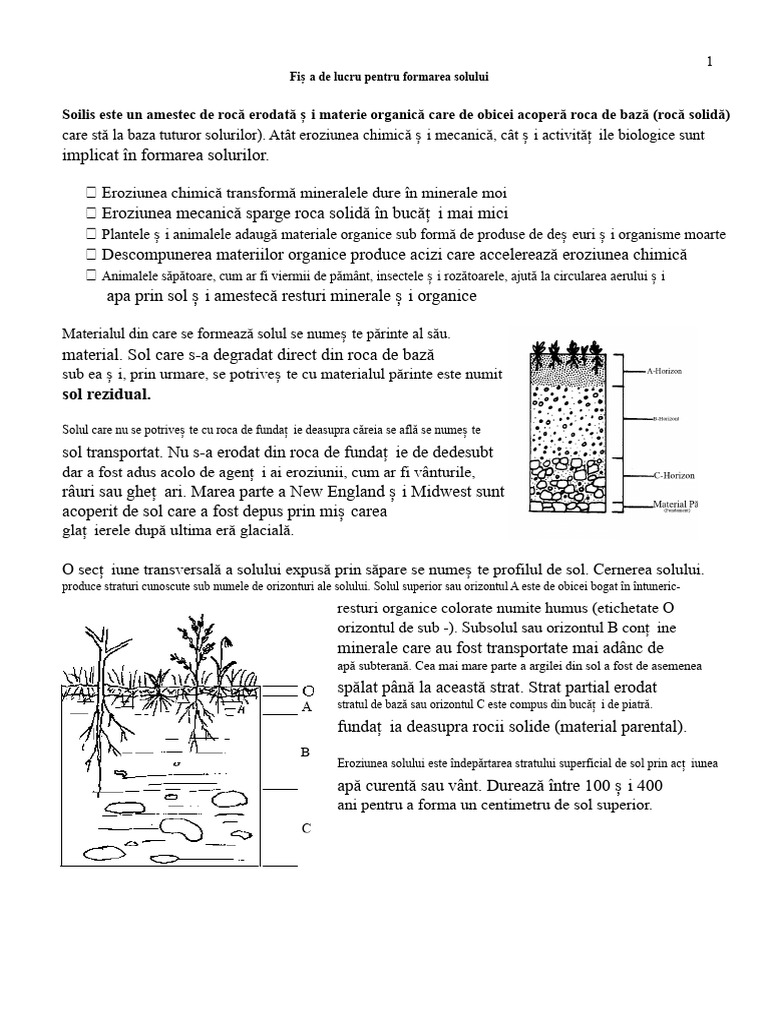 Fișa de Lucru Despre Formarea Solului | PDF