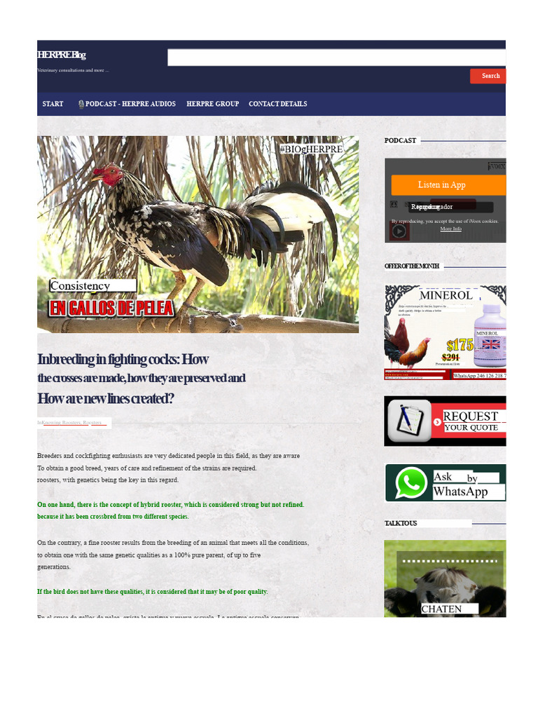Inbreeding Techniques for Fighting Roosters | PDF | Inbreeding ...