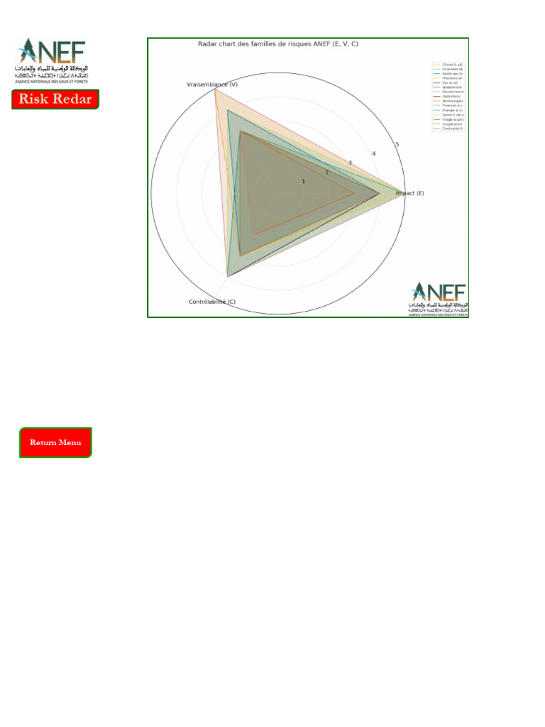 External Risk Radar | PDF