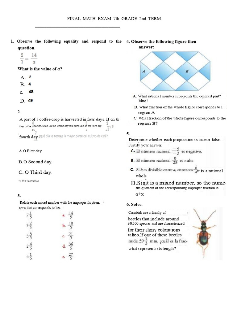 Final Exam of Mathematics 7° 3rd Term | PDF