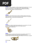 Symphony Orchestra Instrument Guide | PDF | String Instruments ...