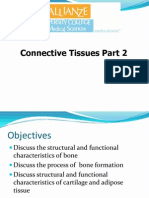 L8 II Connective Tissue Part 2