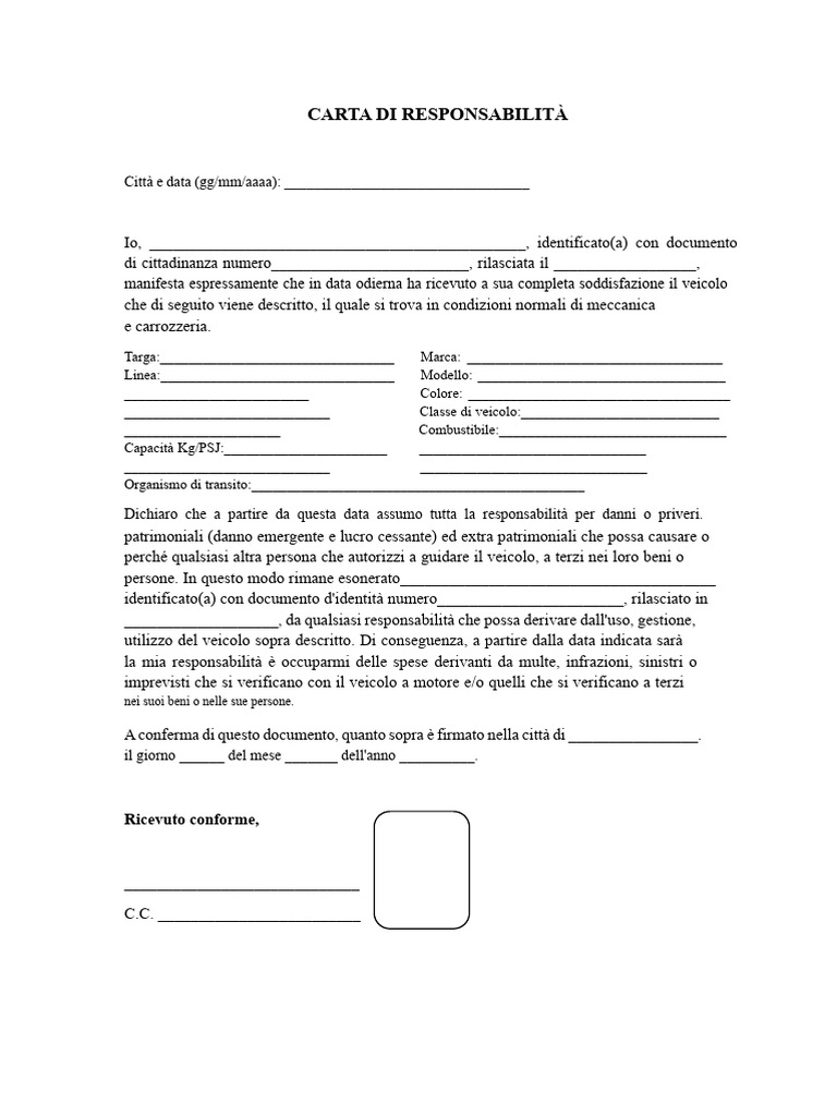 lettera-di-responsabilit-pdf