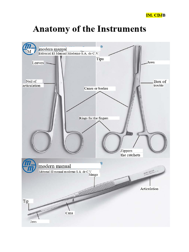 Surgical Instrumentation and General Aspects of The Operating Room ...