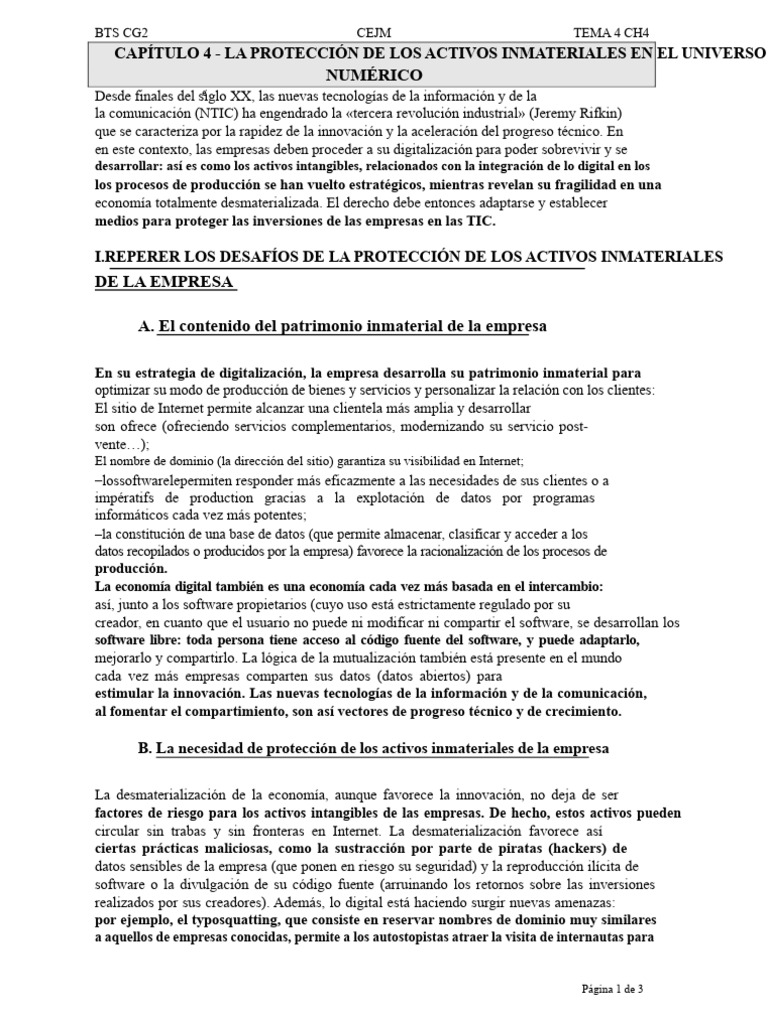 CAPÍTULO 4 LA PROTECCIÓN DE LOS ACTIVOS INMATERIALES EN EL UNIVERSO ...