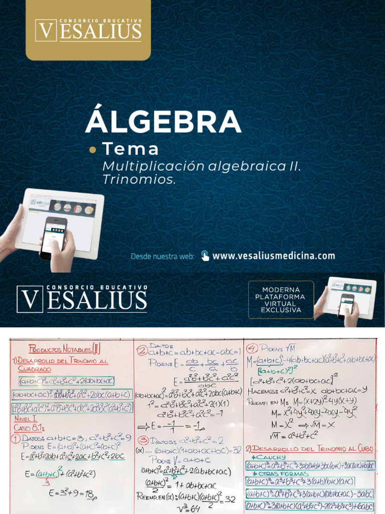 Algebra - Tema 08 - Trimestral | PDF