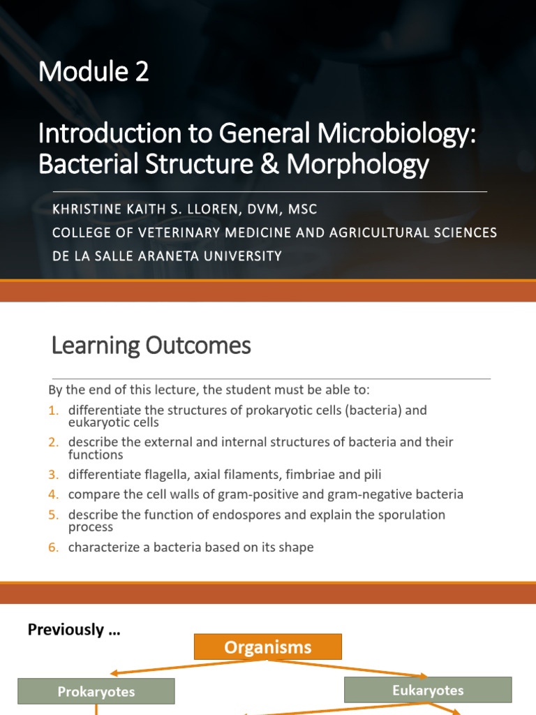 Bacterial Structure and Morphology Overview | PDF | Cell (Biology ...