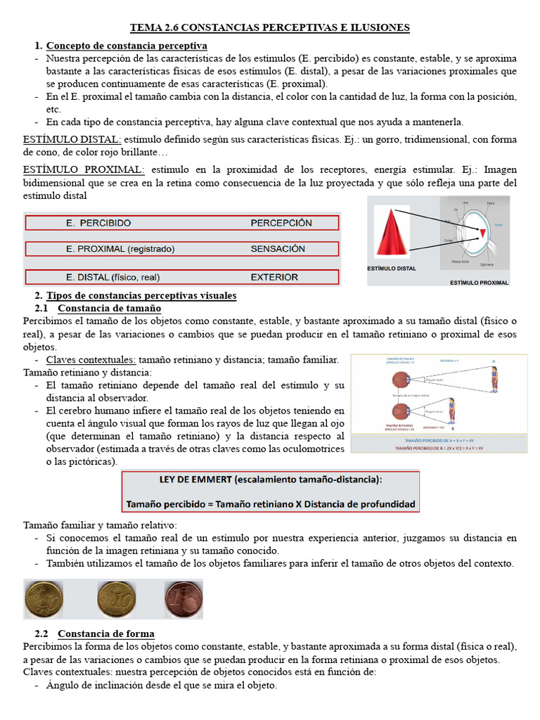 Tema 2.6 | PDF | Percepción | Color