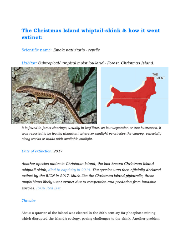 Christmas Island Whiptail-Skink | PDF