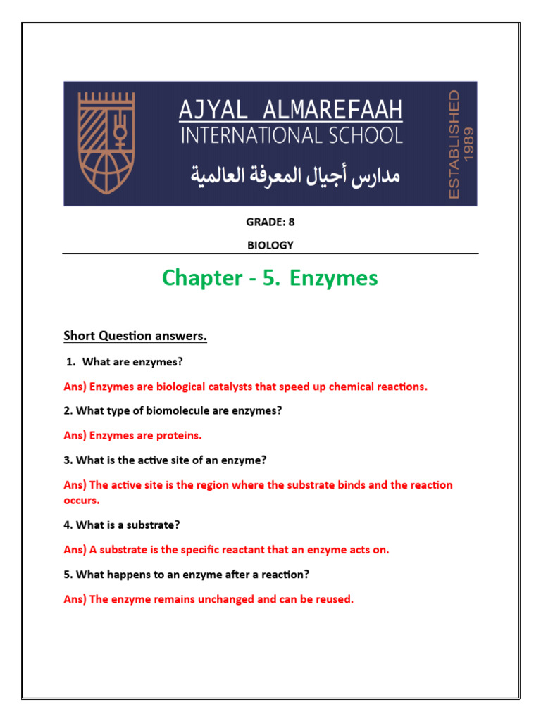 Enzymes: Functions and Effects Explained | PDF | Enzyme | Active Site