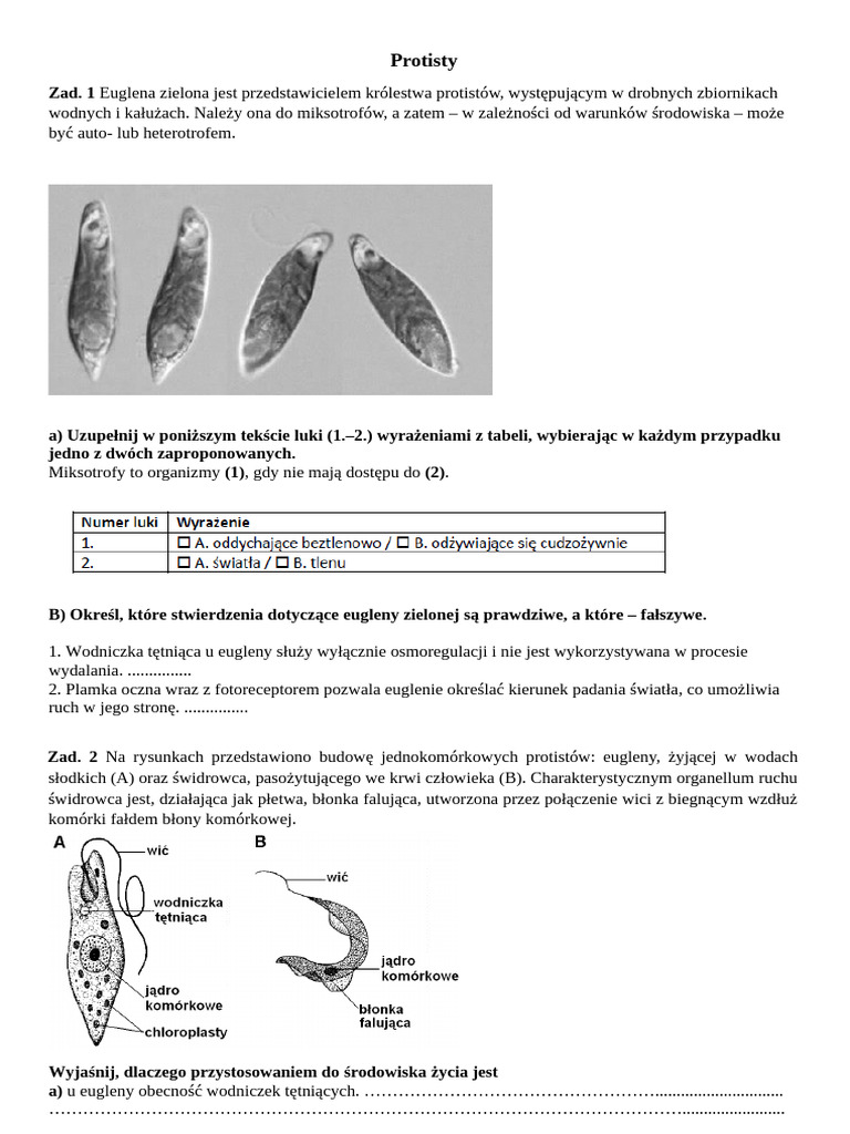 Protisty 2024 | PDF