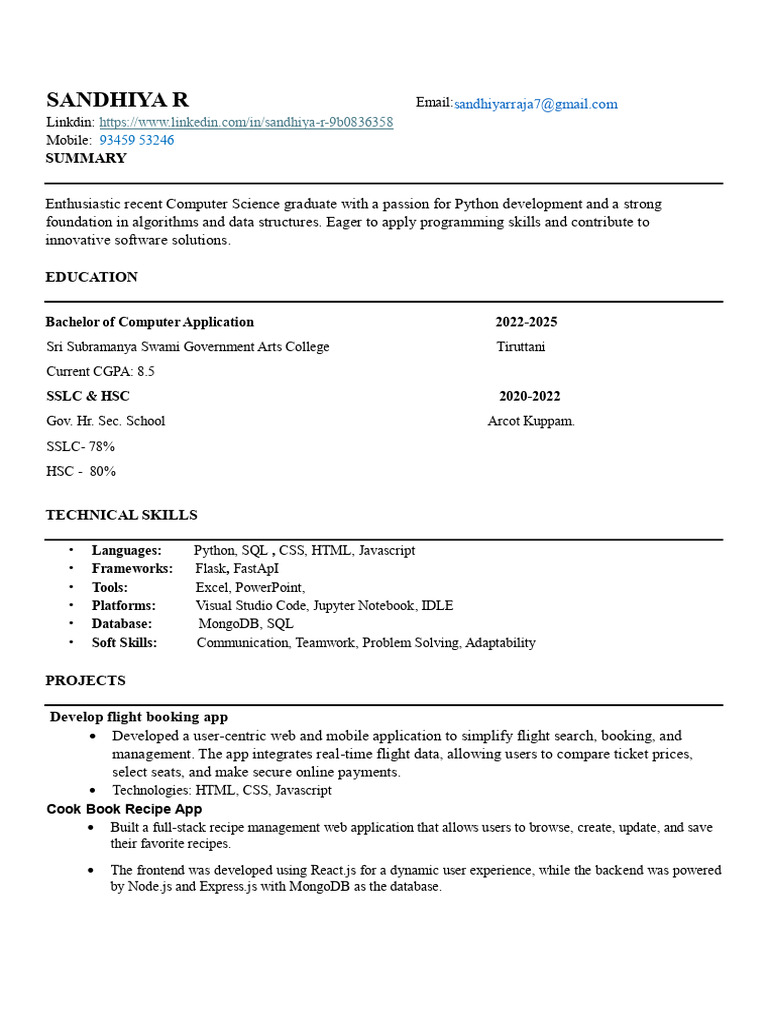 Python Developer Resume Summary | PDF