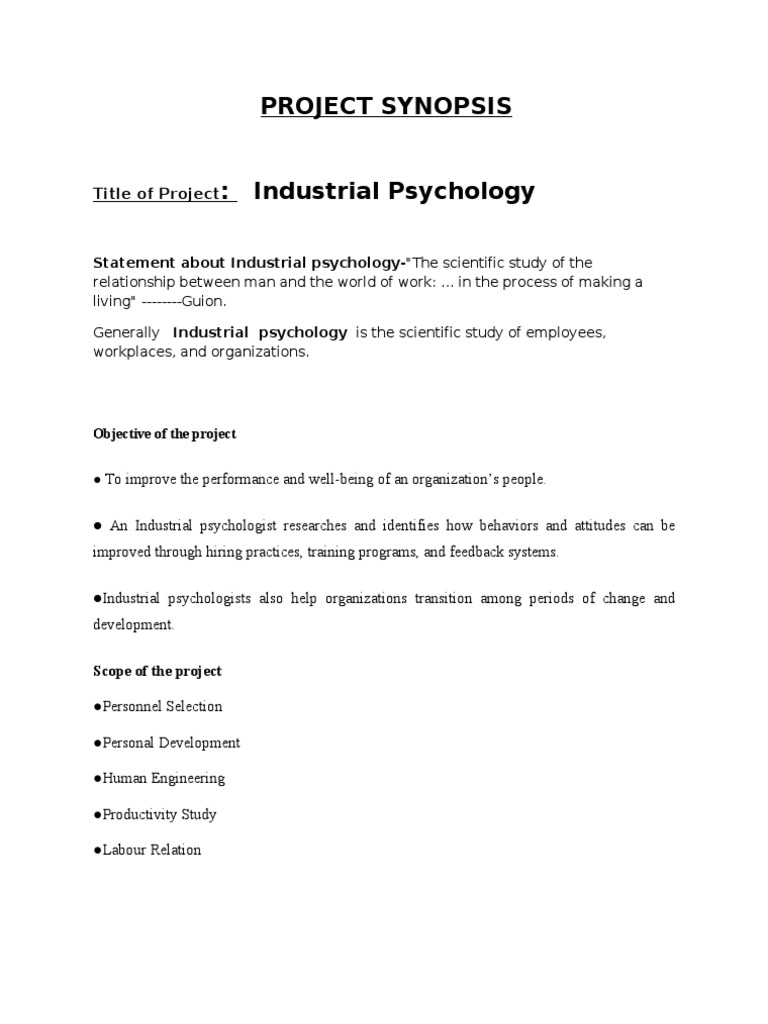Industrial Psychology Project Overview | PDF | Industrial And ...