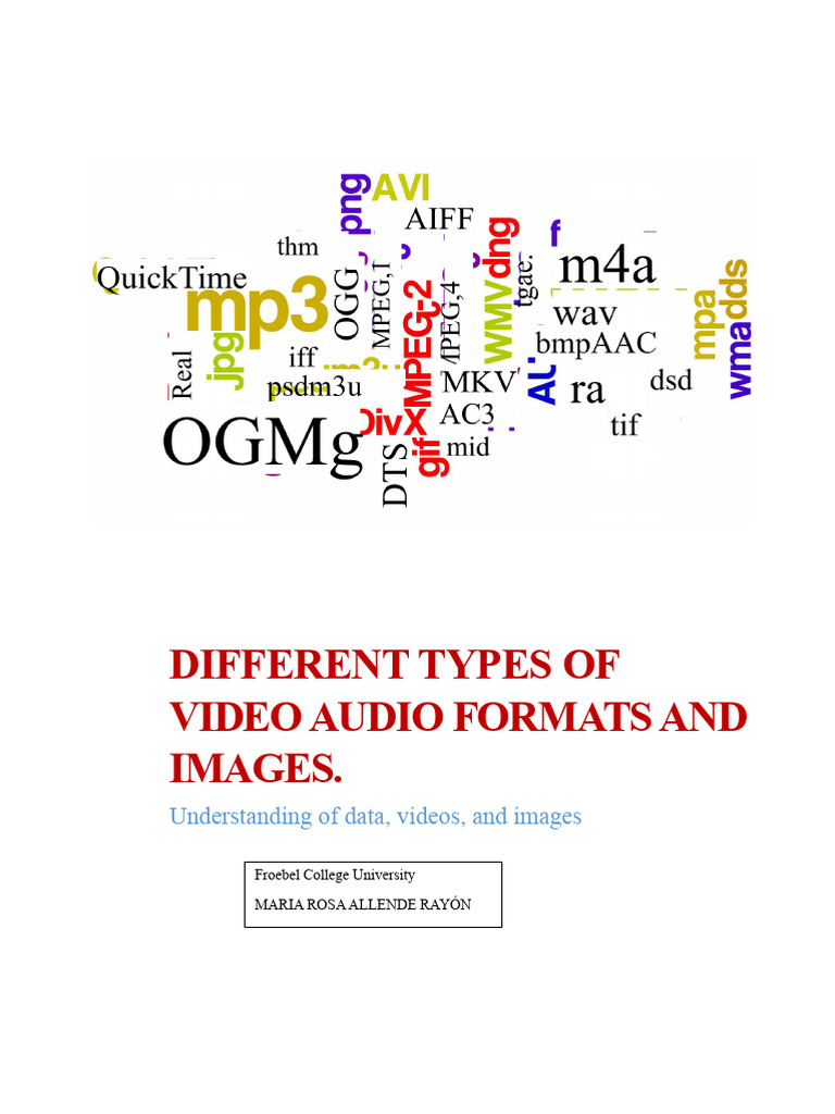 Different Types of Video, Audio, and Image Formats | PDF | Data ...