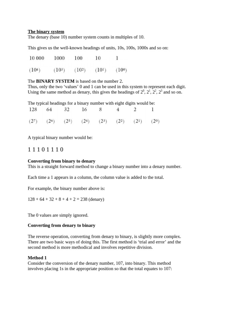 Week 1 - The Binary System | PDF