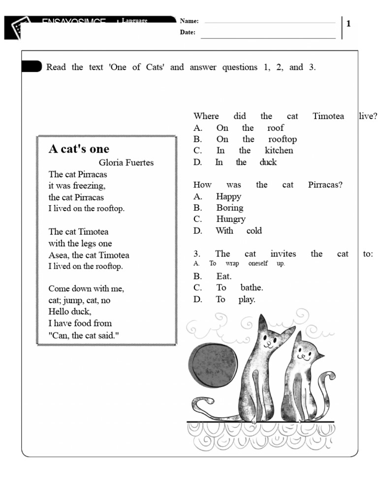 2nd Grade Language SIMCE Practice Test | PDF
