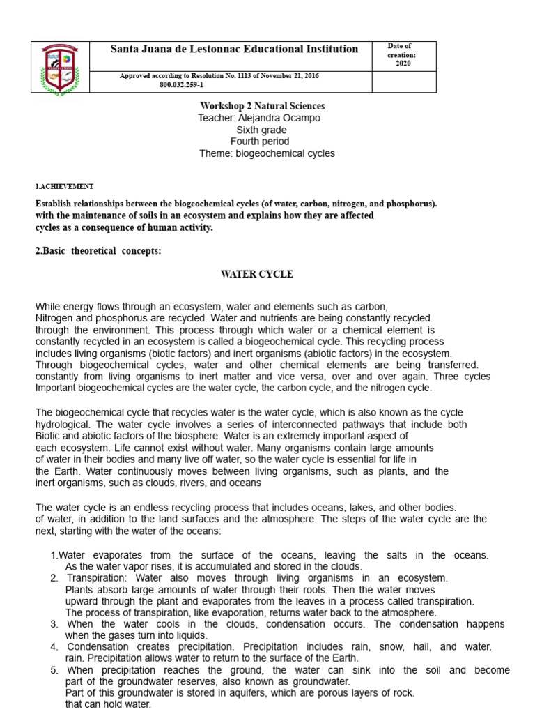 Biogeochemical Cycles in Ecosystems | PDF | Water Cycle | Ecosystem