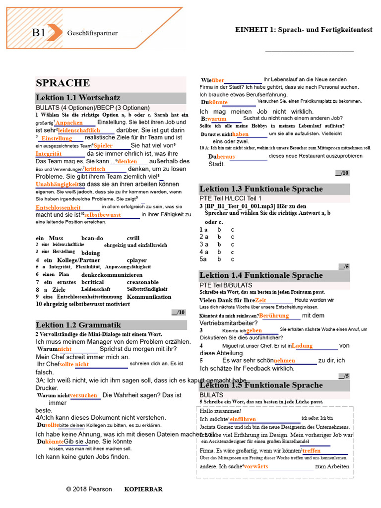 BP B1 Tests Einheit1 | PDF