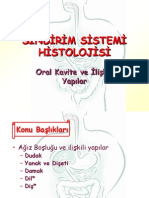 Sindirim Sistemi Histolojisi