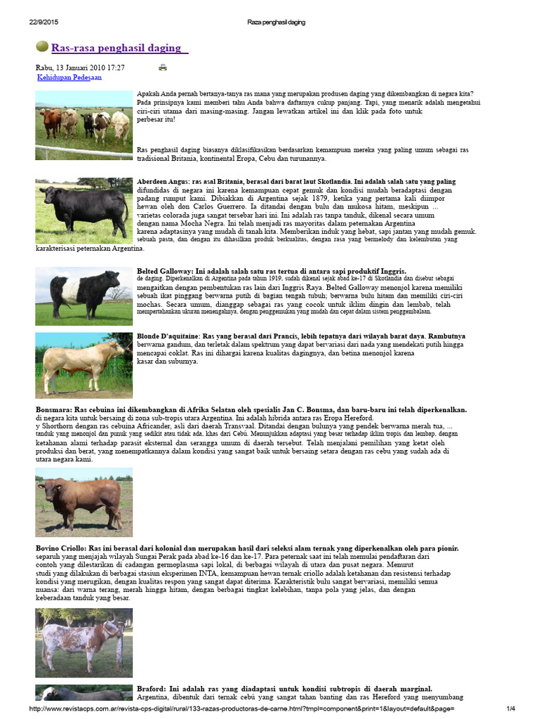Ras Sapi Penghasil Daging Terbaik | PDF