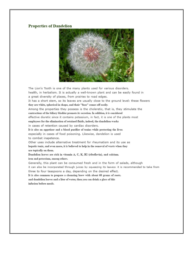 Dandelion | PDF