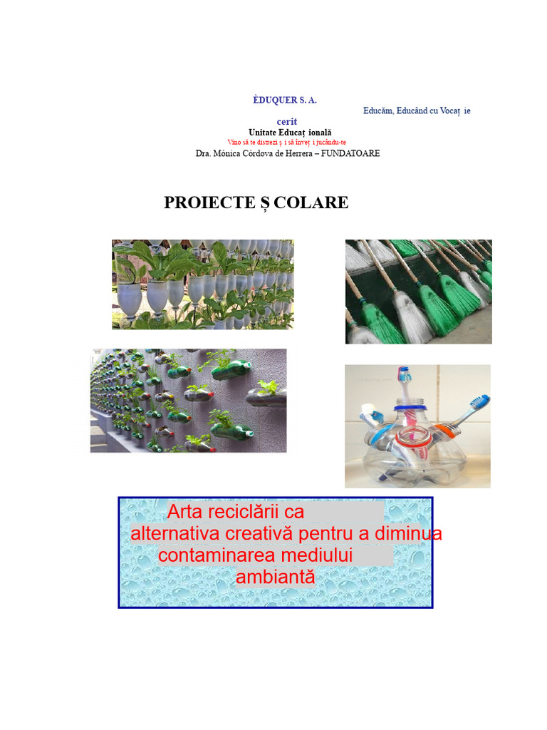Proiecte Școlare | PDF