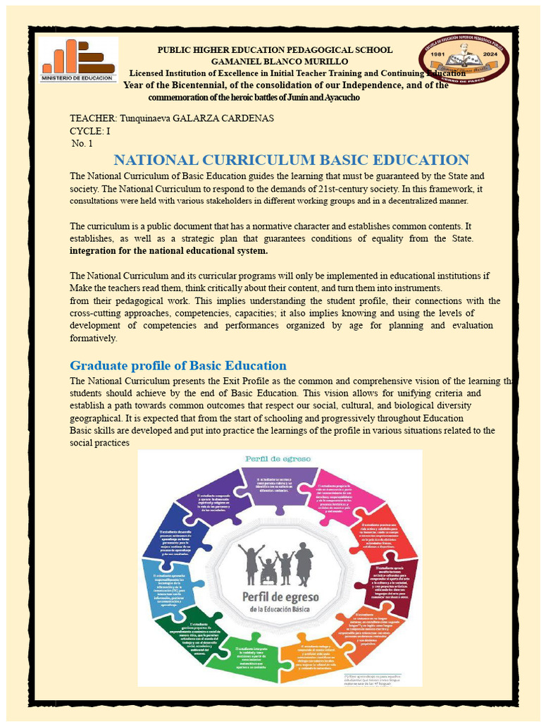 National Curriculum for Basic Education | PDF | Knowledge | Curriculum