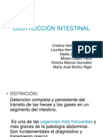 Obstrucción intestinal: causas, síntomas y tratamiento