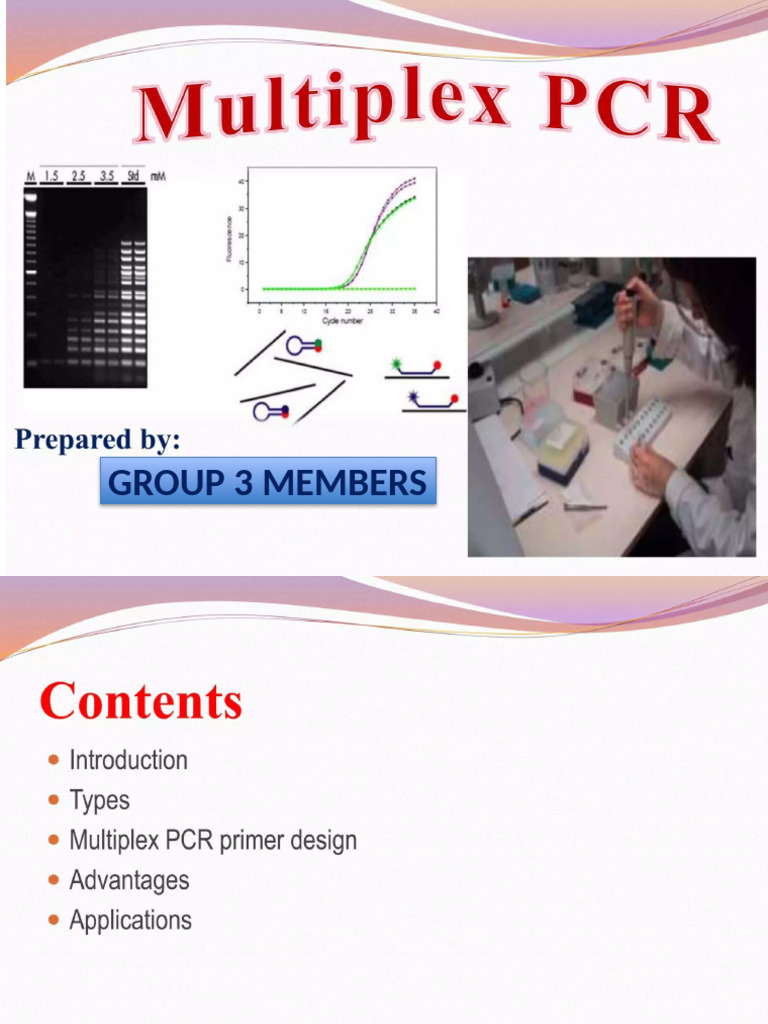 Group 3 Presentation On Multiplex PCR | PDF
