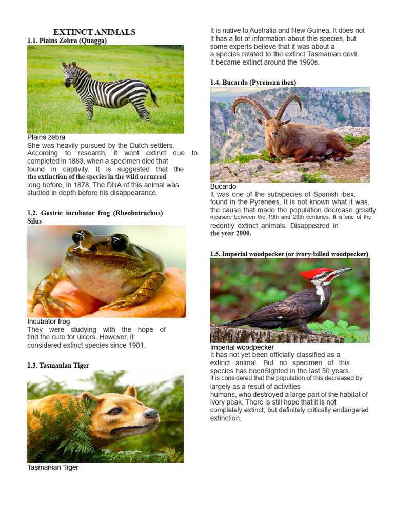 Overview of Recently Extinct Species | PDF | Extinction