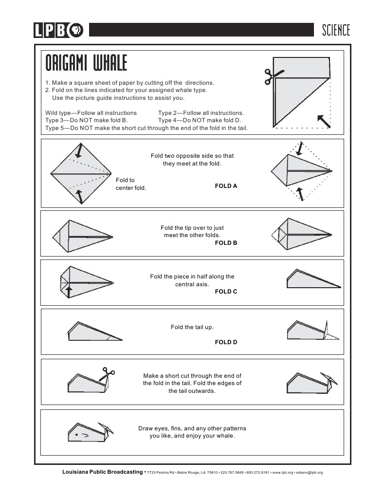 Origami Whale 7 | PDF | Home & Garden