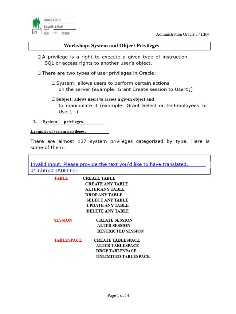 Oracle System and Object Privileges Guide | PDF | Database Schema ...