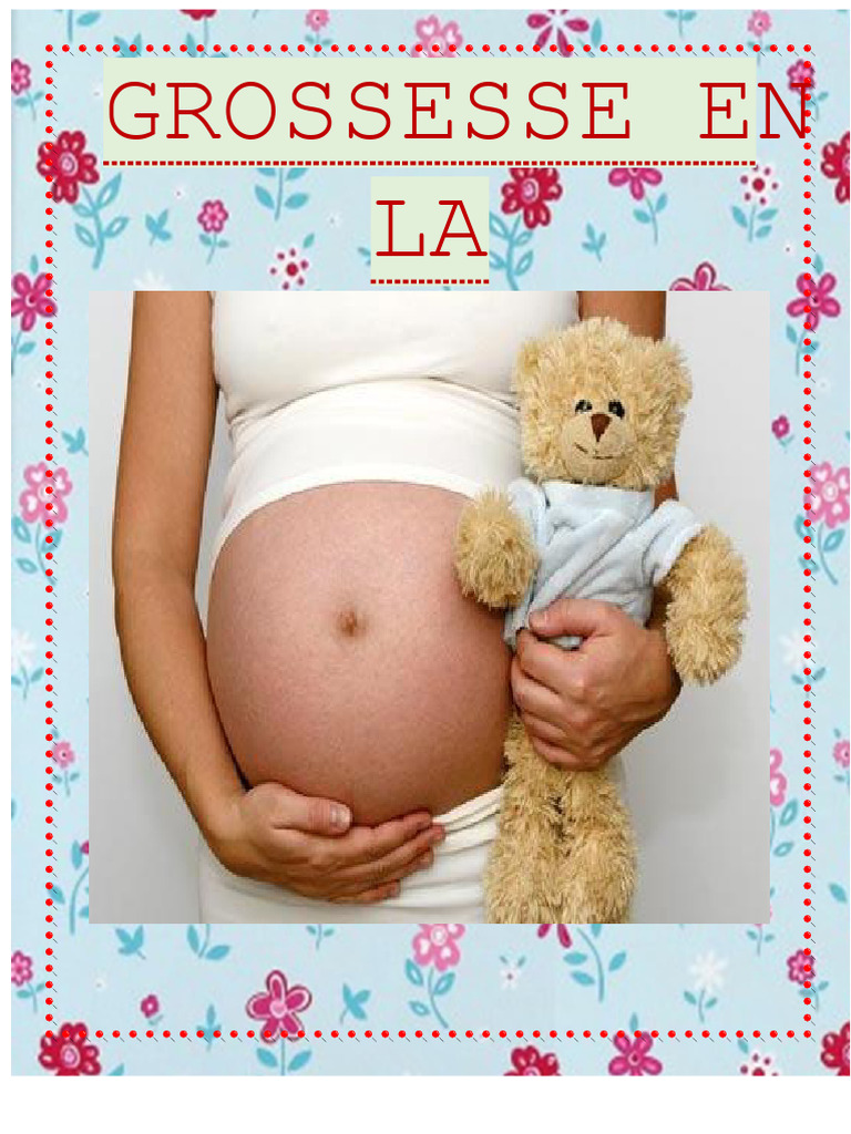 Séminaire Sur La Grossesse Chez Les Adolescents, Luisa Diclo | PDF ...