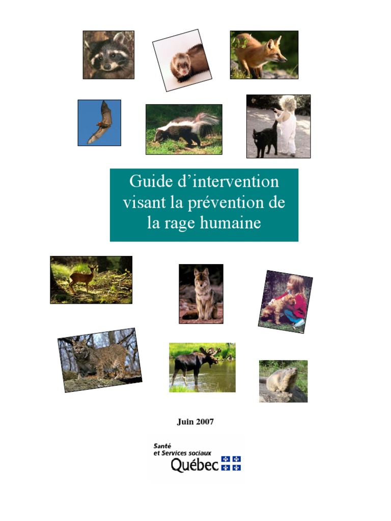 Guide D Intervention Rage Juin 2007 | PDF | Rage (maladie) | Salive
