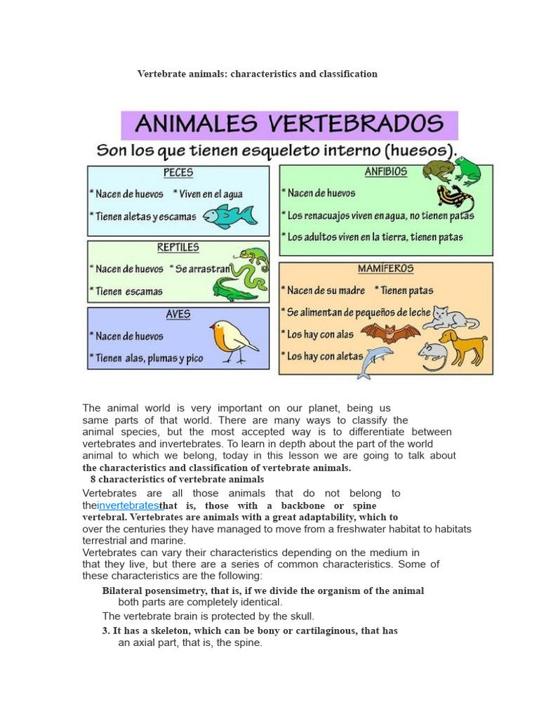 Vertebrate Animals: Traits & Classification | PDF | Vertebrates | Mammals