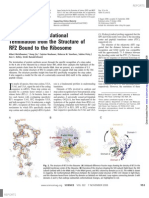 Insights Into Translational Termination From The Structure of RF2 Bound To The Ribosome