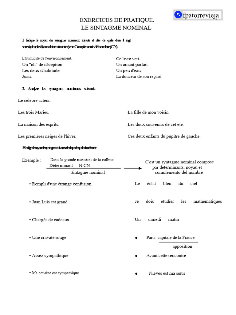 Analyse des syntagmes nominaux | PDF | Nom (grammaire) | Morphologie ...
