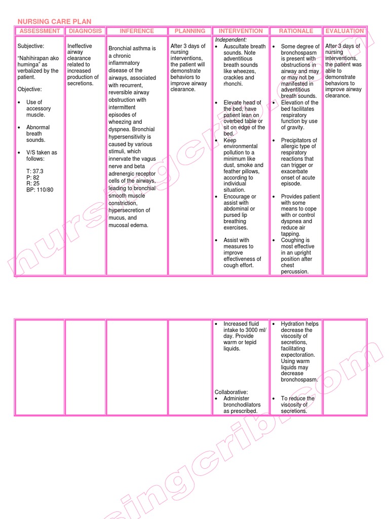 Nursing Care Plan Bronchial Asthma