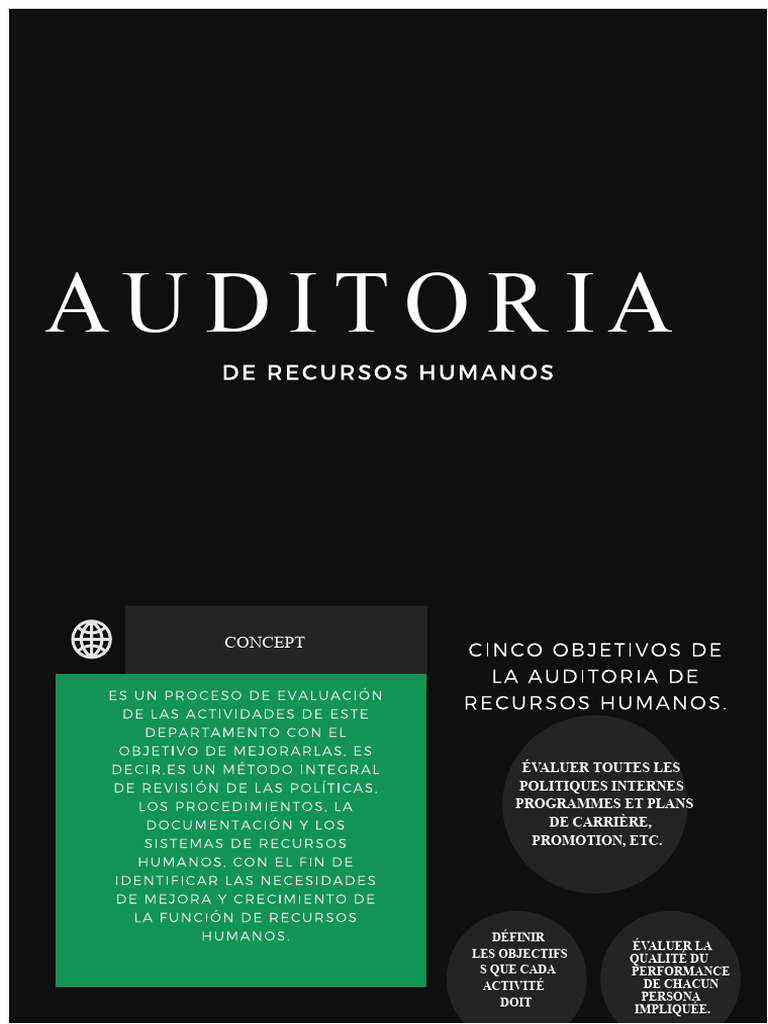Audit des Ressources Humaines Efficace | PDF | Audit | Gestion des ...