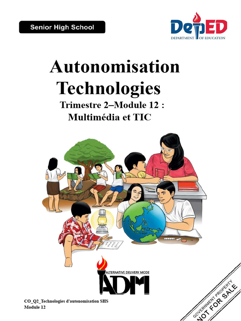 Multimédia et TIC : Guide d'autonomisation | PDF | Internet | Internet ...