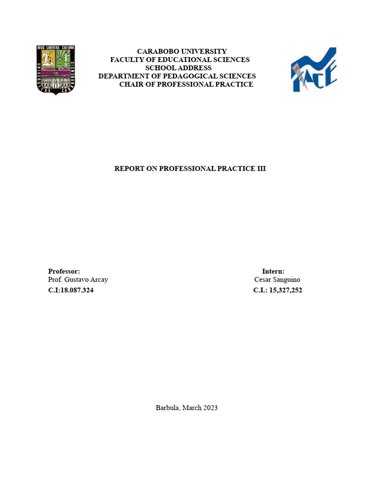 Professional Practice III Report Summary | PDF | Lesson Plan | Teachers