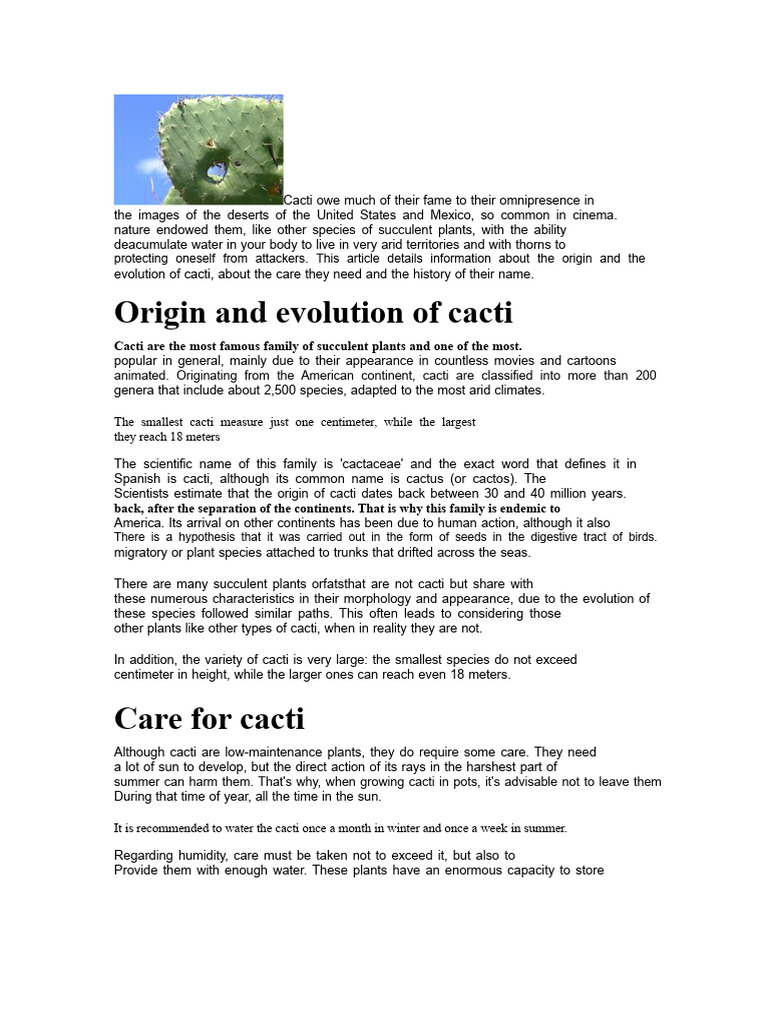 Cactus | PDF | Botany | Plants
