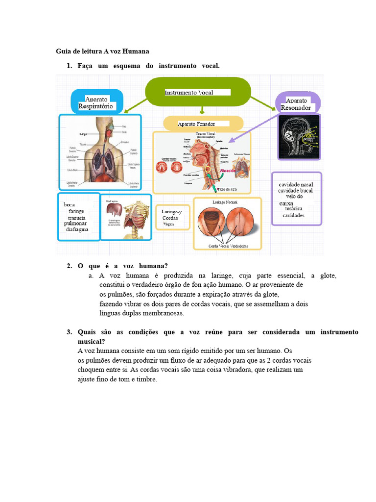 Guia Completo da Voz Humana | PDF | Voz humana | Canto