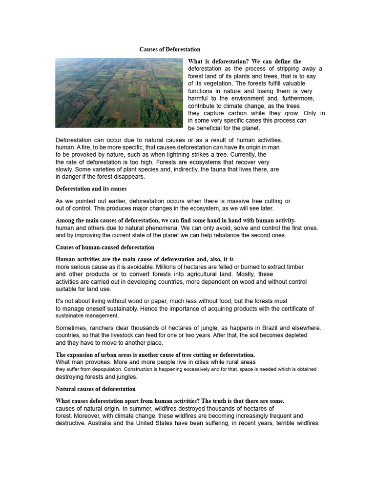 Key Causes of Deforestation Explained | PDF | Deforestation | Forests