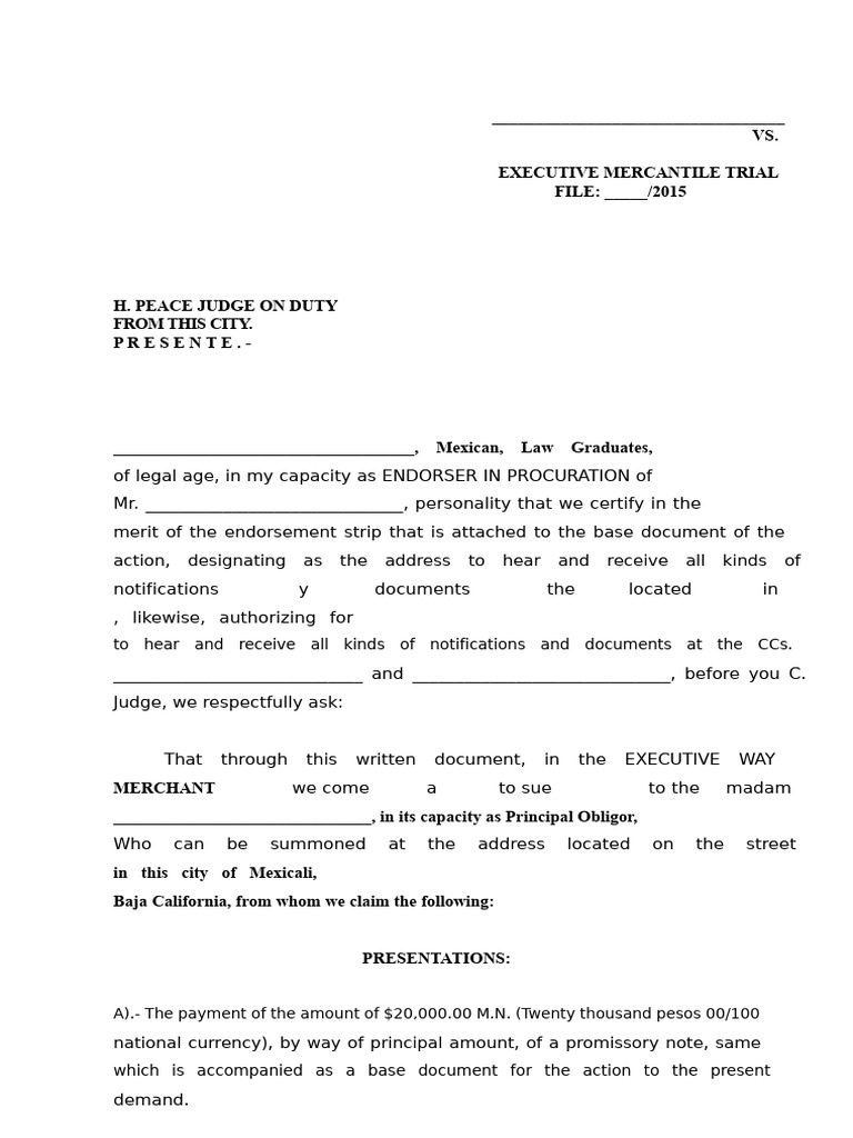 Executive Commercial Demand II | PDF | Lawsuit | Promissory Note
