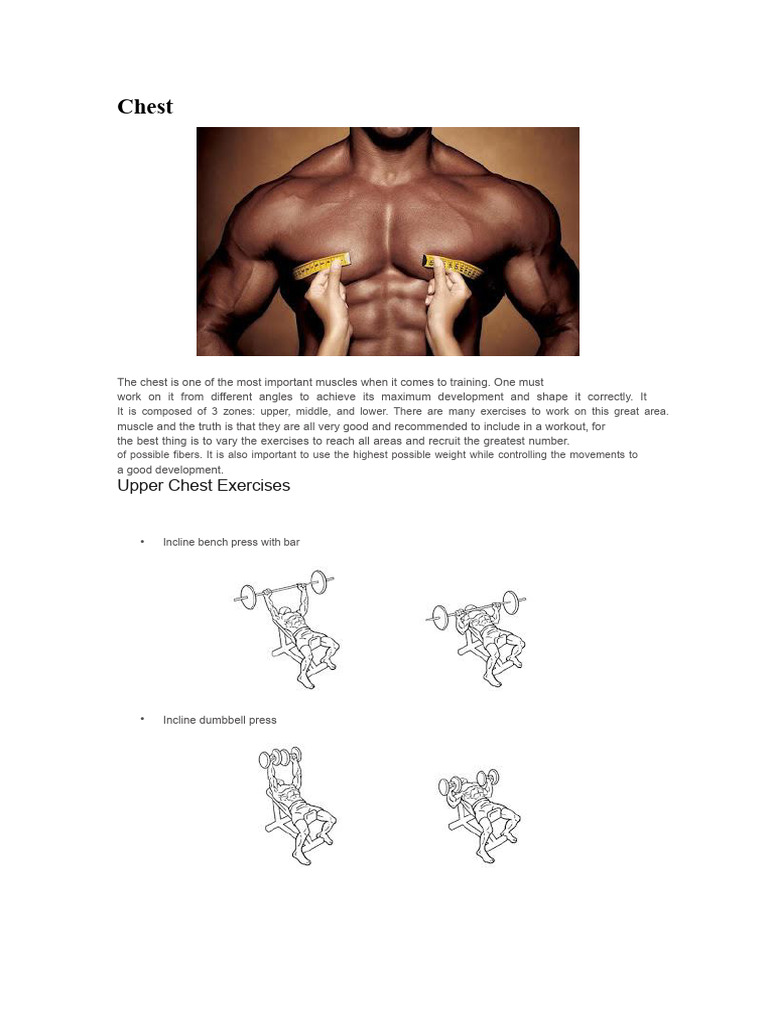 Comprehensive Chest Workout Guide | PDF